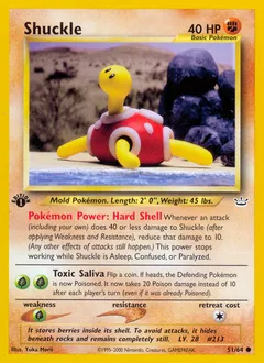 A picture of the Shuckle Pokemon card from Neo Revelation