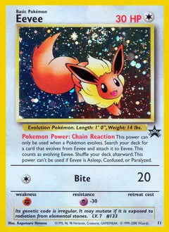 A picture of the Eevee Pokemon card from WOTC Promos