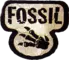 Symbol of the Pokemon TCG Set: Fossil